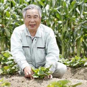 年金以外の収入があると望ましい